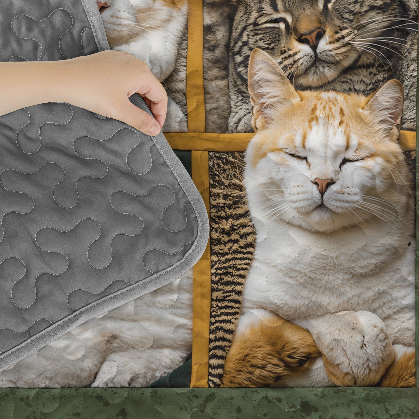 Pajabear Quilt 3-Piece Set Sleepy Cats