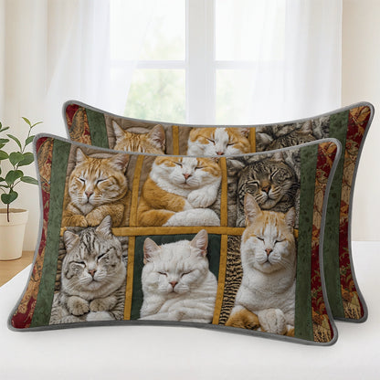 Pajabear Quilt 3-Piece Set Sleepy Cats