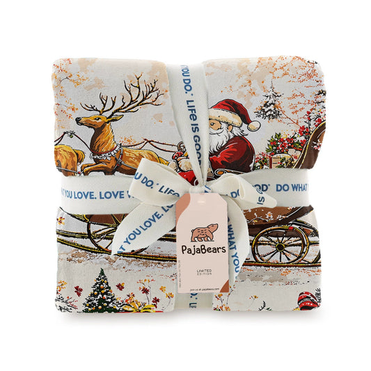 Pajabear Fleece Blanket Santa Sleigh
