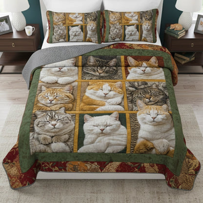 Pajabear Quilt 3-Piece Set Sleepy Cats
